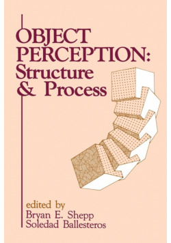 Object Perception