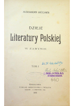 Dzieje literatury polskiej w zarysie Tom I 1903 r.