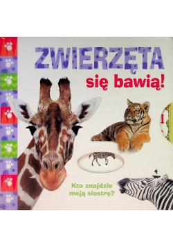 Zwierzęta się bawią