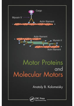 Motor Proteins and Molecular Motors