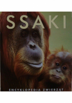 Ssaki encyklopedia zwierząt