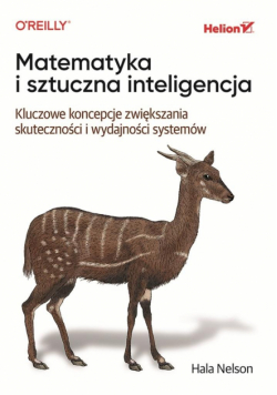 Matematyka i sztuczna inteligencja. Kluczowe koncepcje zwiększania skuteczności i wydajności systemów