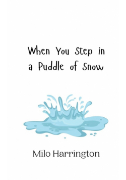 When You Step in a Puddle of Snow