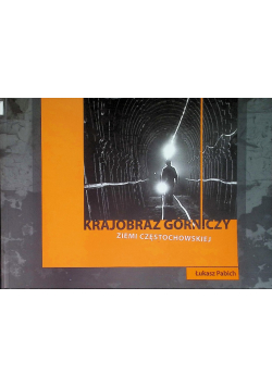 Krajobraz górniczy ziemi częstochowskiej