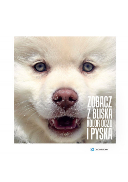 Zobacz z bliska kolor oczu i pyska