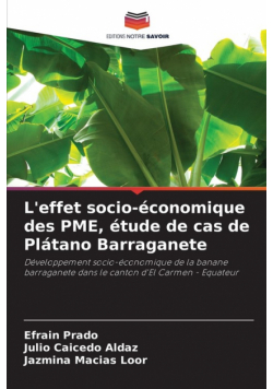 L'effet socio-économique des PME, étude de cas de Plátano Barraganete
