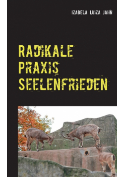 Radikale Praxis Seelenfrieden