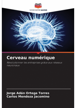 Cerveau numérique