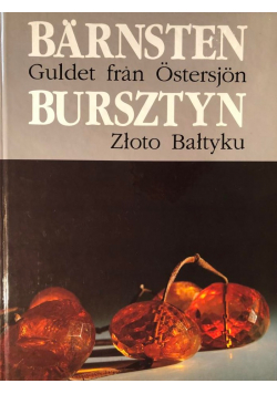 Barnsten Guldet fran Ostersjon / Bursztyn Złoto Bałtyku