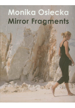 Mirror Fragments