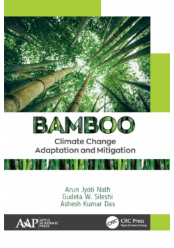 Bamboo