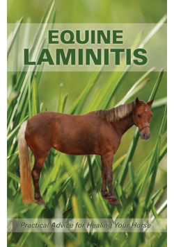Equine Laminitis