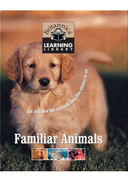 Familiar animals