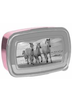 Śniadaniówka Horses PP21HO-3022 PASO