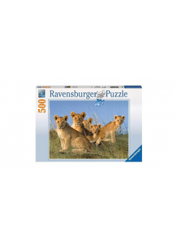 Puzzle 500 Lwiątka