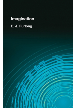 Imagination