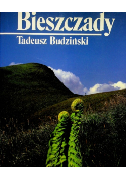 Bieszczady