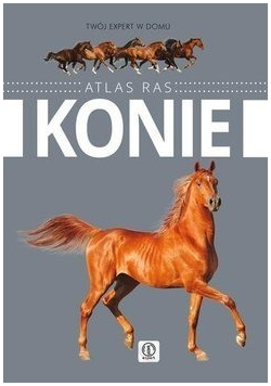 Konie  Atlas ras