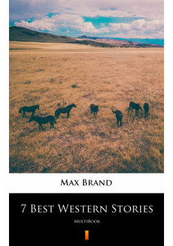 7 Best Western Stories. MultiBook