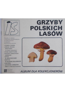 Grzyby polskich lasów