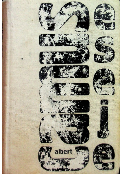 Camus Eseje