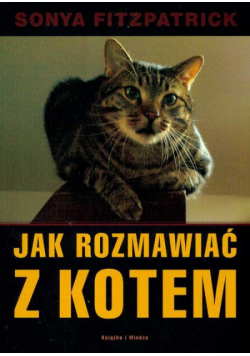 Jak rozmawiać z kotem