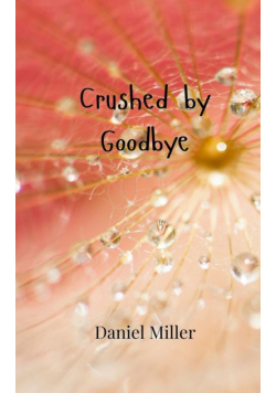 Crushed by Goodbye