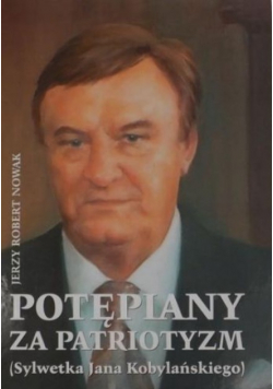Potepiony Za Patriotyzm