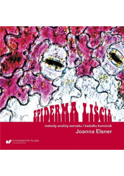 Epiderma liścia