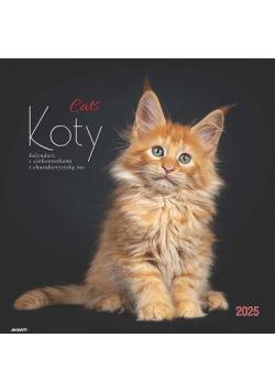 Kalendarz 2025 albumowy duży Koty KAD-9