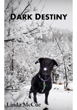 Dark Destiny