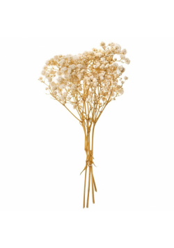 Gipsówka 4 gałązki ok. 20cm natural