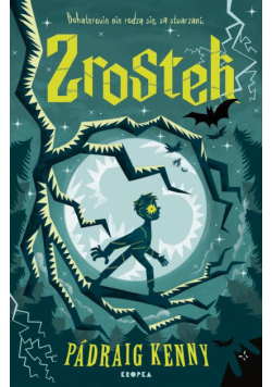 Zrostek