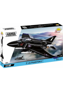 Armed Forces F-4S Phantom II Black Bunny