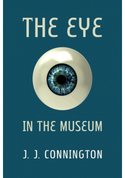 The Eye in the Museum