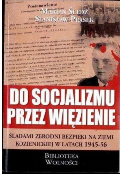 Do socjalizmu przez więzienie