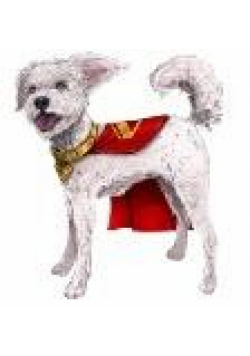 Superman Film: Interaktywny Krypto