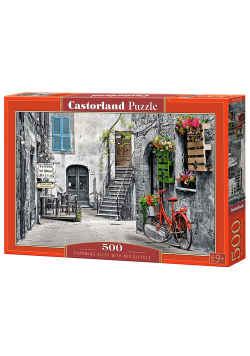 Puzzle Charming Alley with Red Bicycle 500