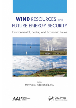 Wind Resources and Future Energy Security