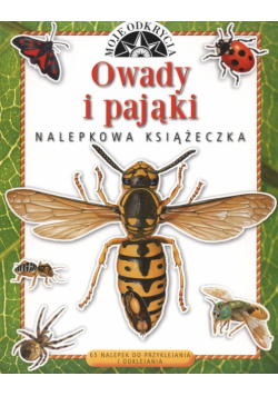 Owady i pająki: moje odkrycia