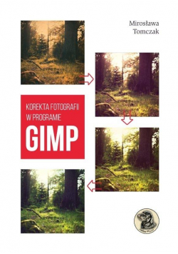 Korekta fotografii w programie Gimp