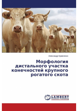 Морфология дистального участка конечностей крупного рогатого скота