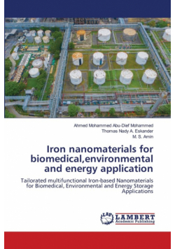 Iron nanomaterials for biomedical,environmental and energy application