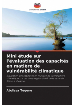 Mini étude sur l'évaluation des capacités en matière de vulnérabilité climatique
