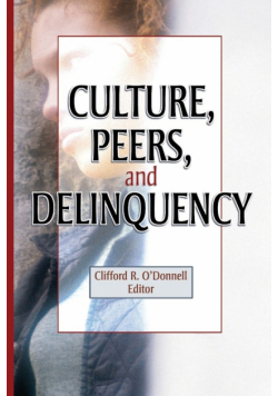 Culture, Peers, and Delinquency