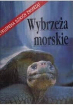 Wybrzeże morskie