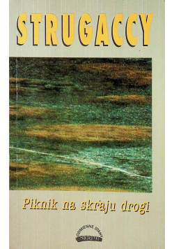 Piknik na skraju drogi