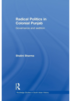 Radical Politics in Colonial Punjab