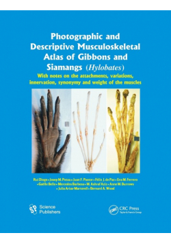 Photographic and Descriptive Musculoskeletal Atlas of Gibbons and Siamangs (Hylobates)