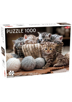 Puzzle 1000 Małe kotki